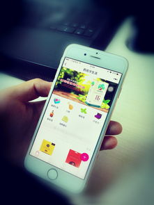 華軟小程序商學院 探索微信小程序——互聯網時代電商與社交的完美融合